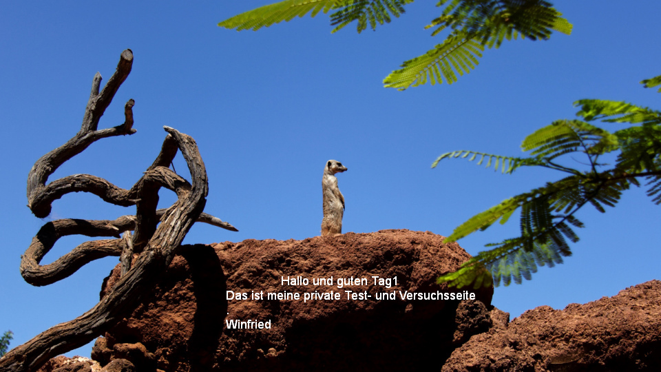 Der Wächter